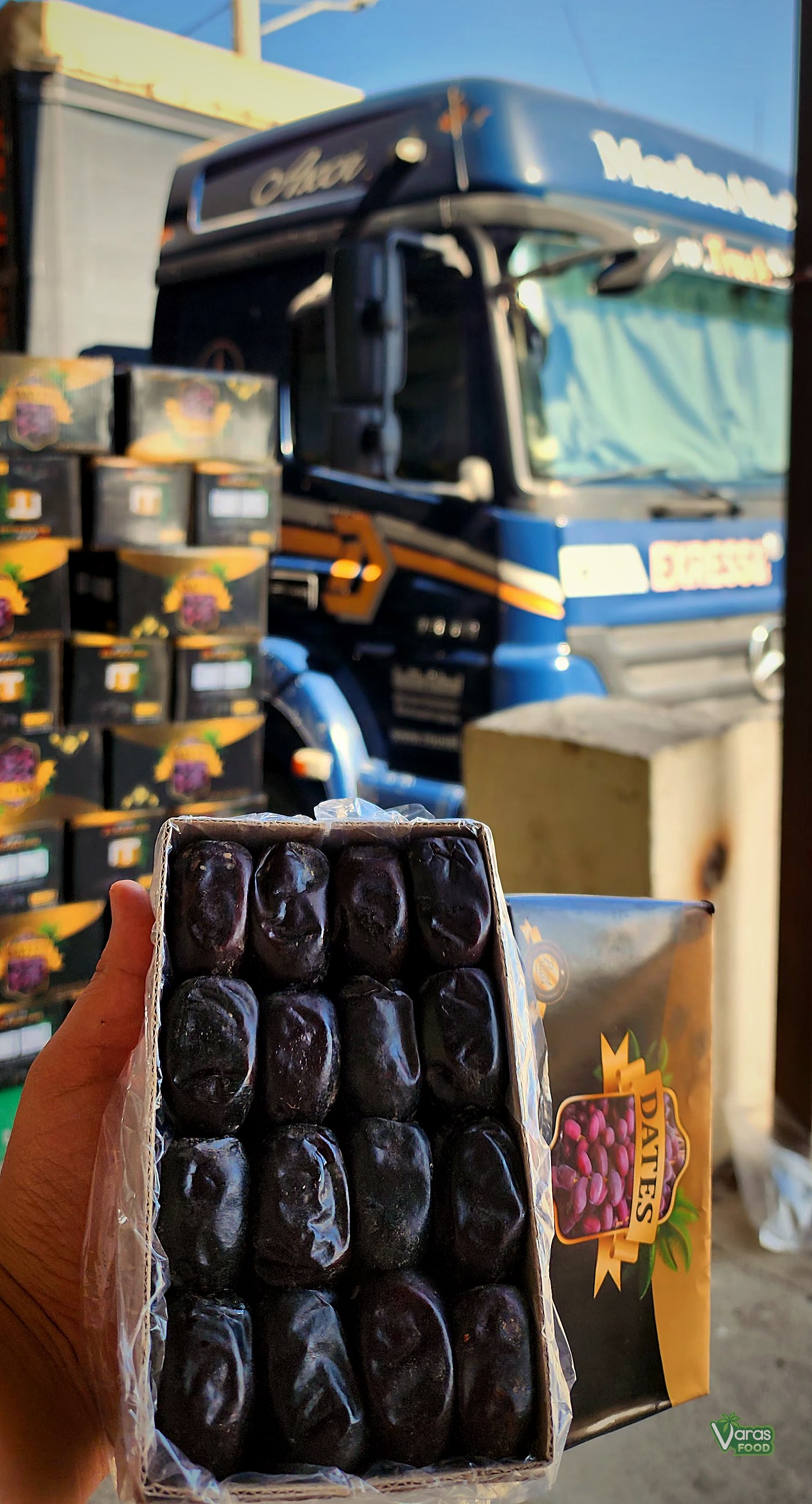 VARAS Food Mazafati dates being loaded for export in Jiroft, Kerman Province